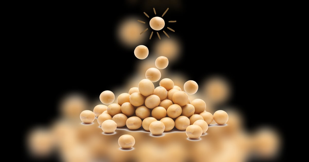Crespel & Deiters joins VEPRONA as shareholder, expands soy ingredients