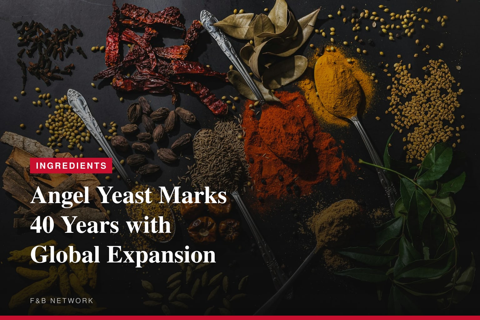 FW: Angel Yeast Chairman Reflects on 40 Years of Bringing Yeast to Millions of H