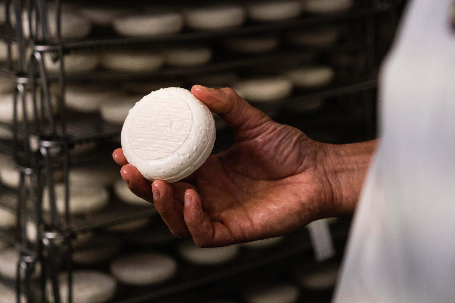 Lactalis Canada Advances Canadian Dairy Leadership Position With Strategic Acquisition of Agropur’s Fine Cheese Division