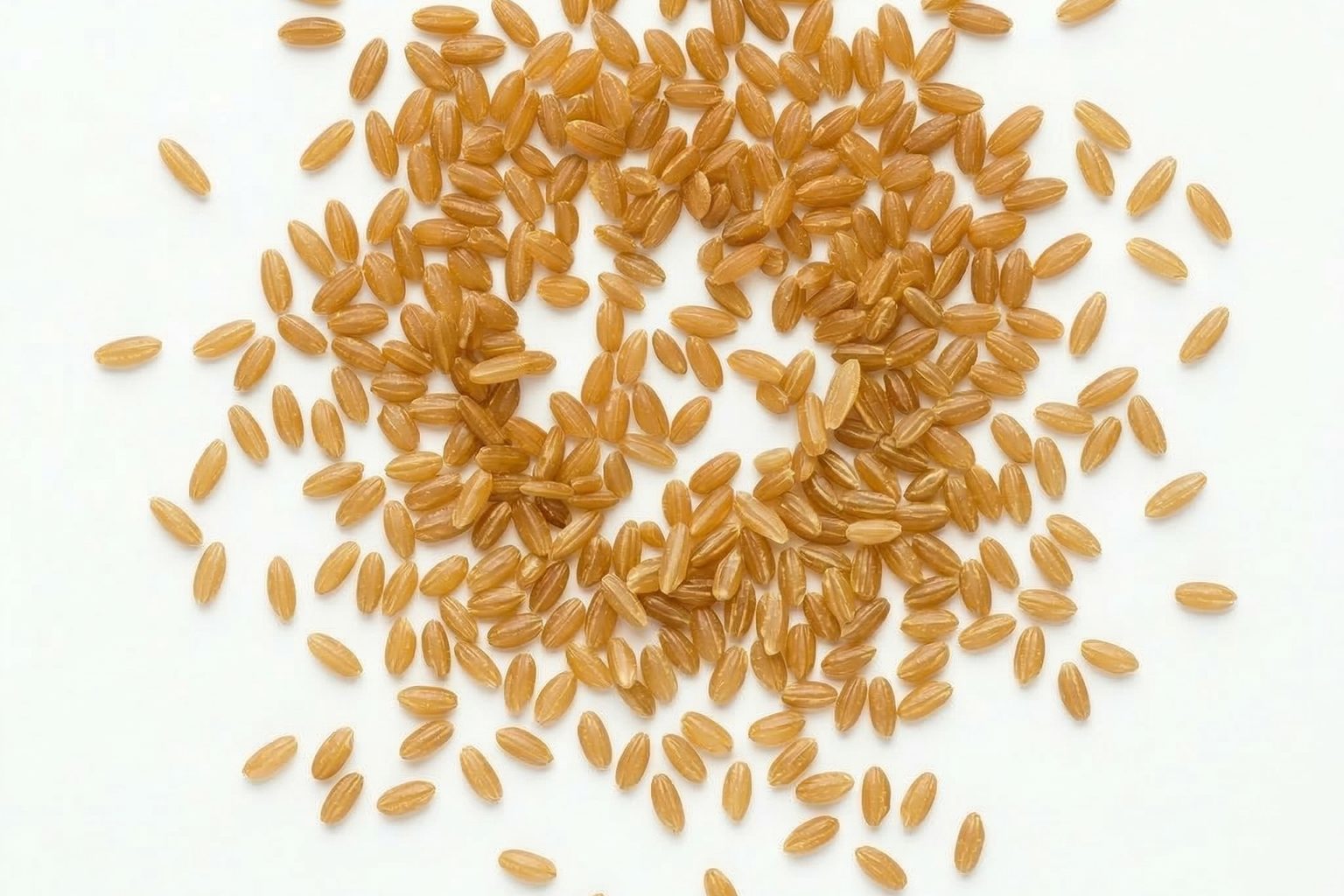 Nexxus Foods — Ingredients feature