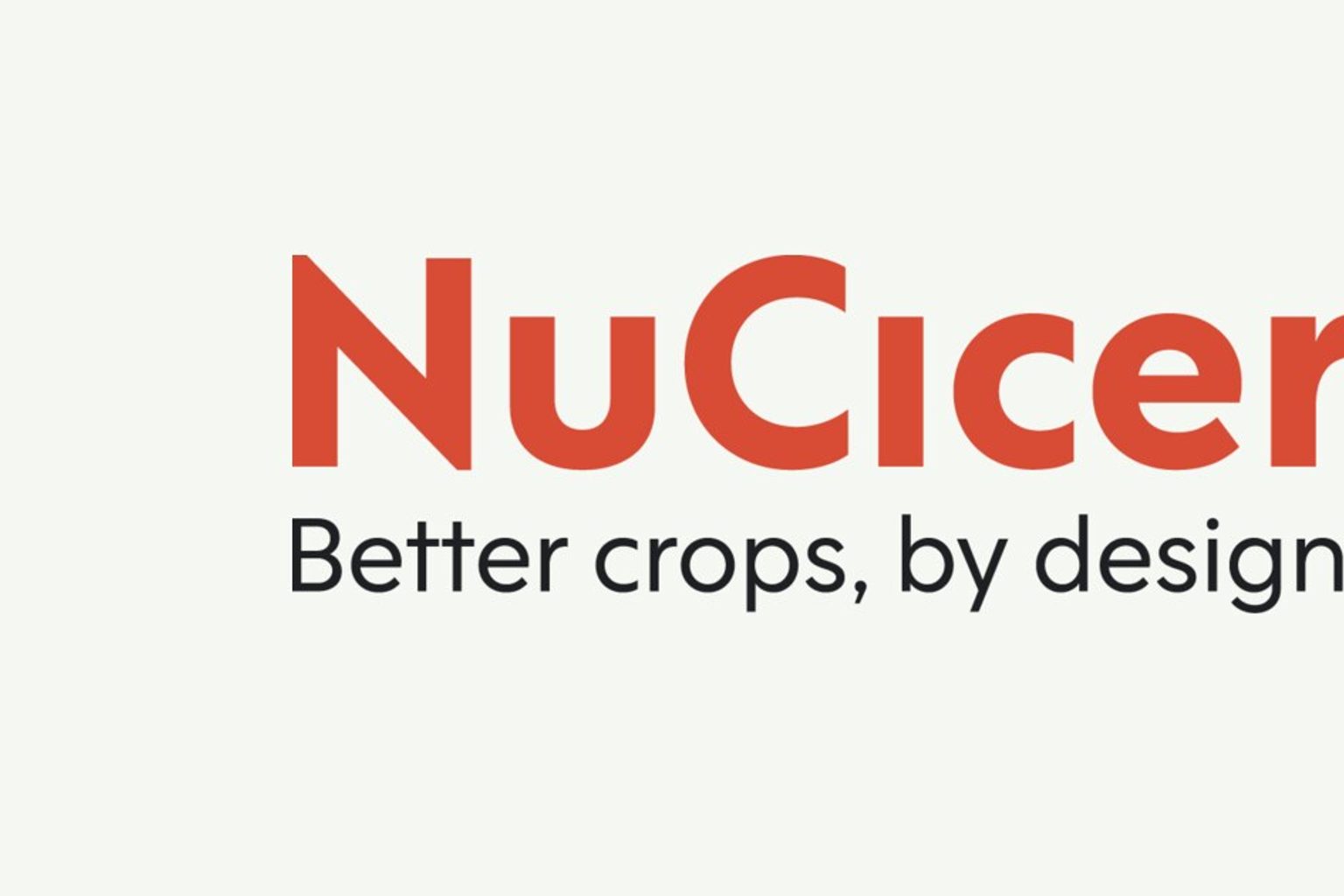 NuCicer Launches High-Protein Chickpea for Food Manufacturers