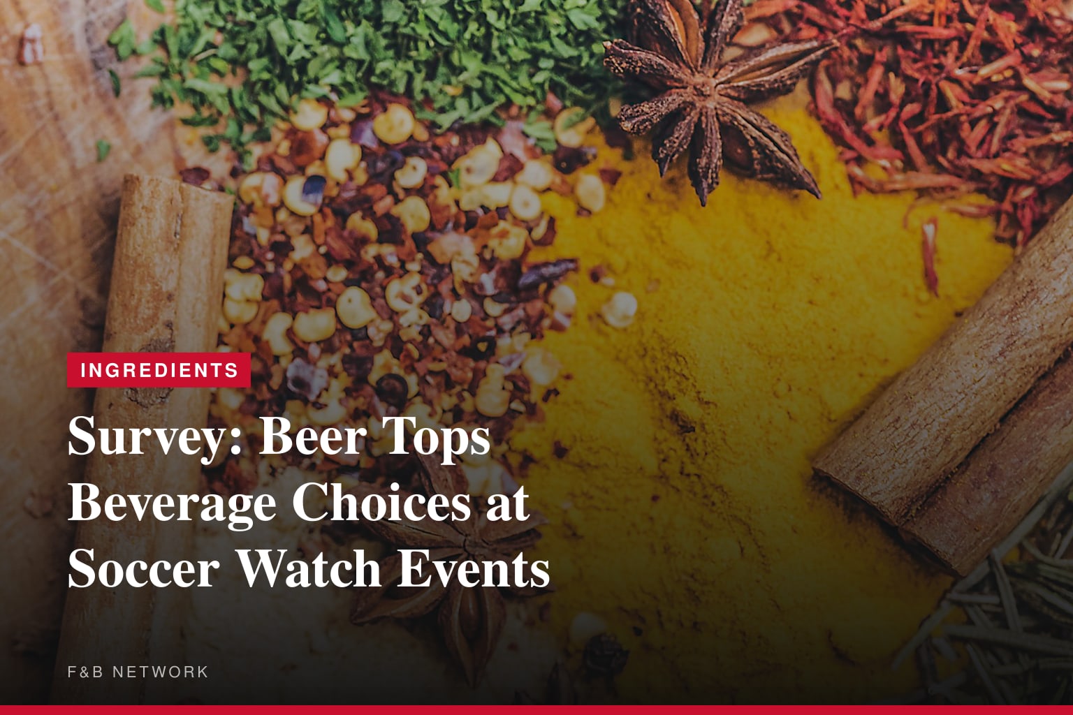 Beer is No. 1 Pick for World Soccer Tournament Watch Parties, New Survey Finds